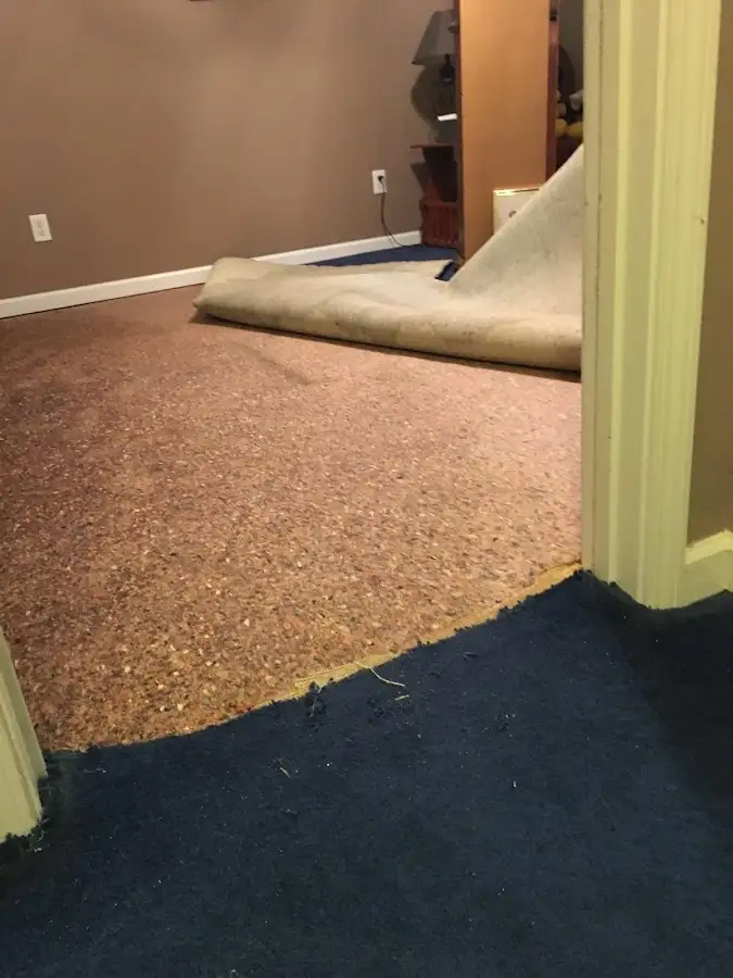 Carpet pad removal revealing water damage during Drying & Dehumidification in Windsor Locks
